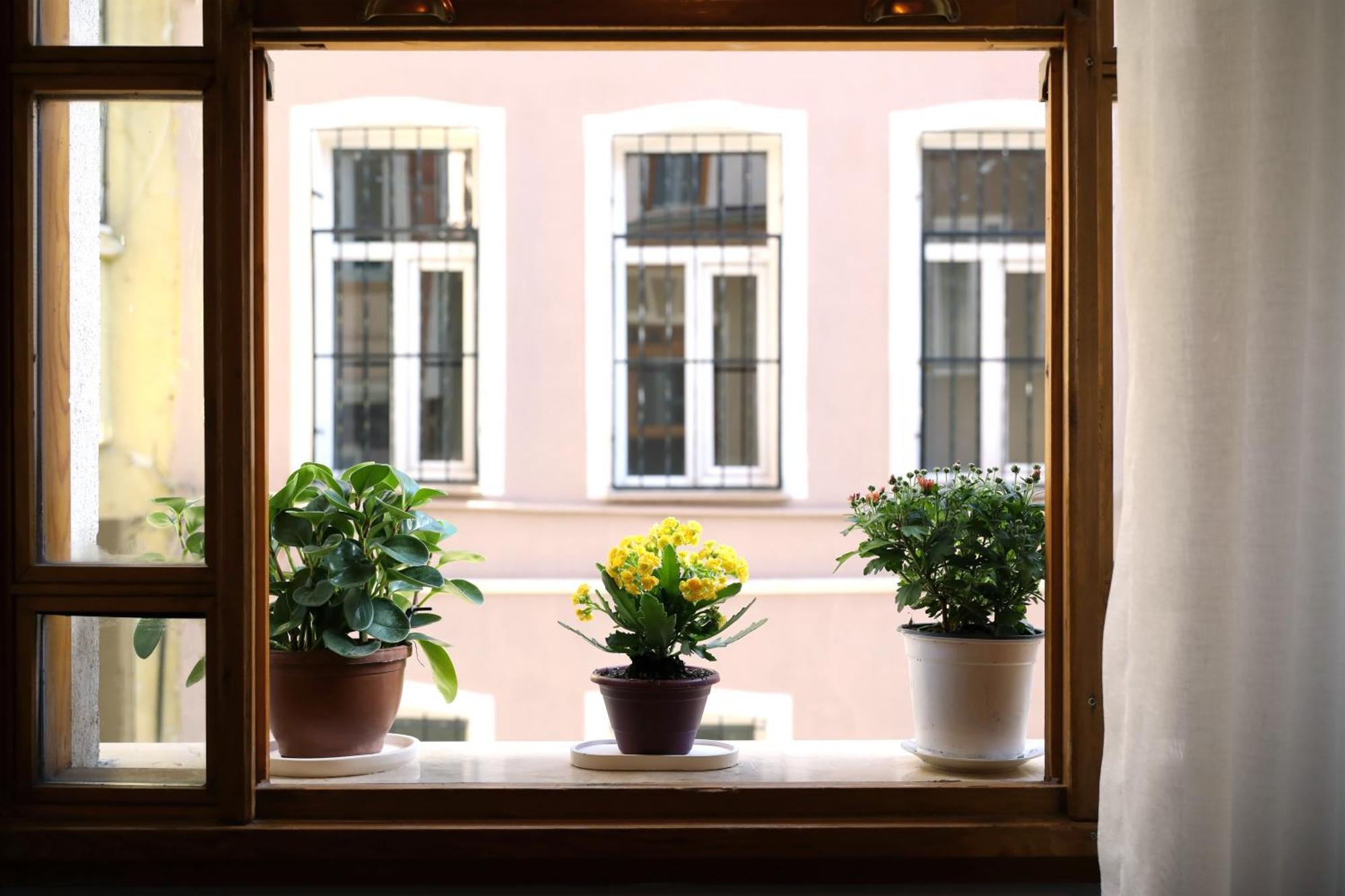 Narpera Taksim Boutique Hotel Istanbul Exterior photo